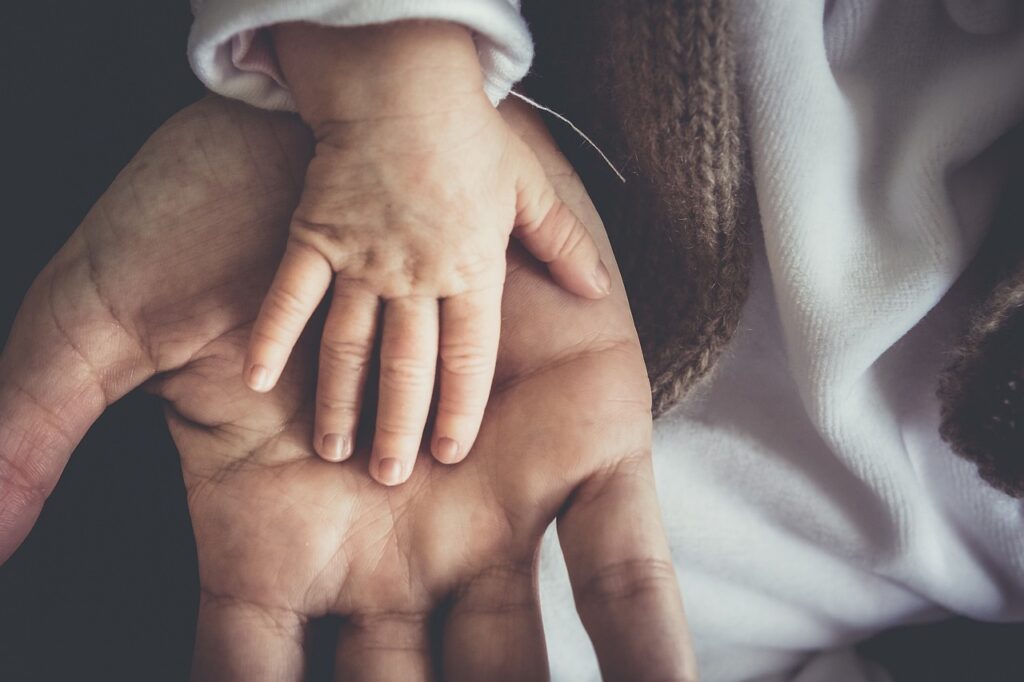 子育てに最適なサービスを利用するためのお得な入会キャンペーンは？