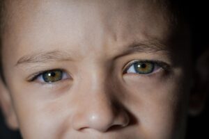 ミールキットで子供が好きなメニューは何ですか？