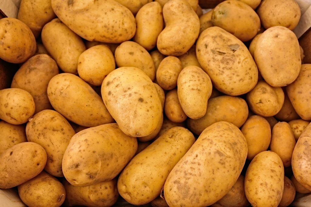 食洗機レンタルの使い勝手をブログで徹底解説する方法は？