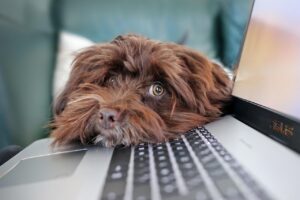在宅ワークをするママにおすすめの時短サービスは？