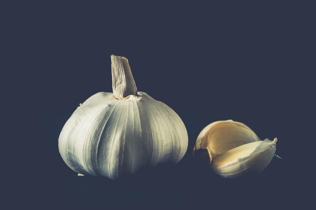 幼児食で野菜嫌いを克服する冷凍宅配サービスは？