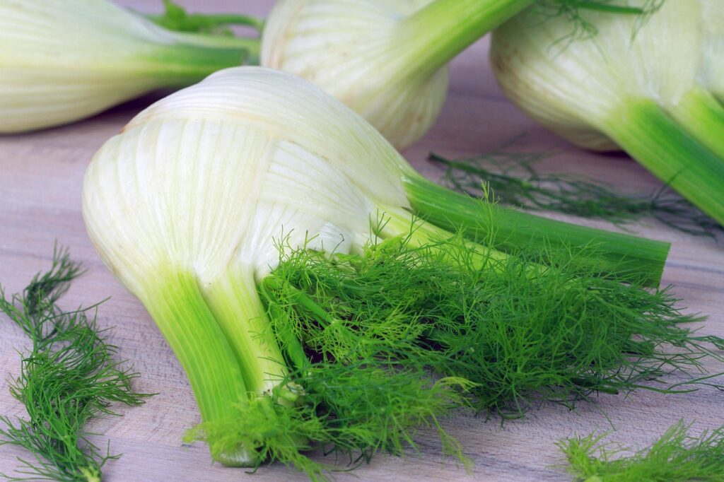 食材宅配の野菜多めコースを比較してどれが一番おすすめ？